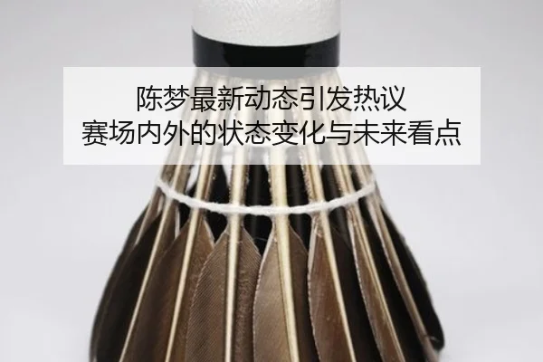 陈梦最新动态引发热议 赛场内外的状态变化与未来看点